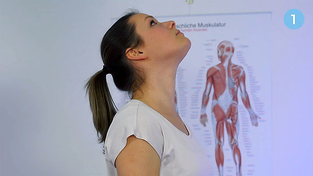 1. vaja: mobilizacija vratne hrbtenice I